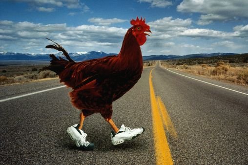 Descubre el misterio del Camino de la Pollo en la ruleta española